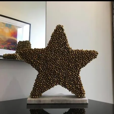 Star Centre - Self Check-in Appartement *